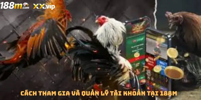 Cách tham gia và quản lý tài khoản tại 188M
