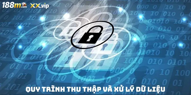 Quy trình thu thập và xử lý dữ liệu