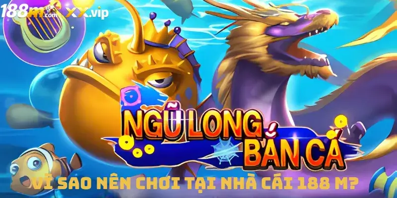 Vì Sao Nên Chơi Tại Nhà Cái 188 M